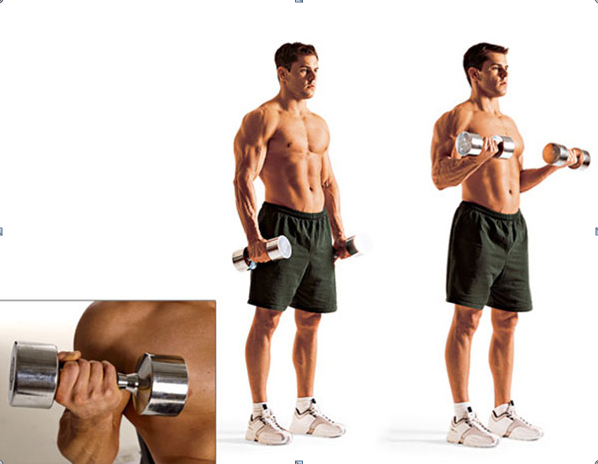 Mách nhỏ bạn những bài tập cơ bắp tay cho nam giới hiệu quả nhất